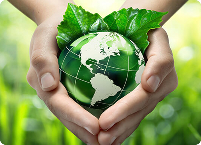 Eco Friendly Promise Image