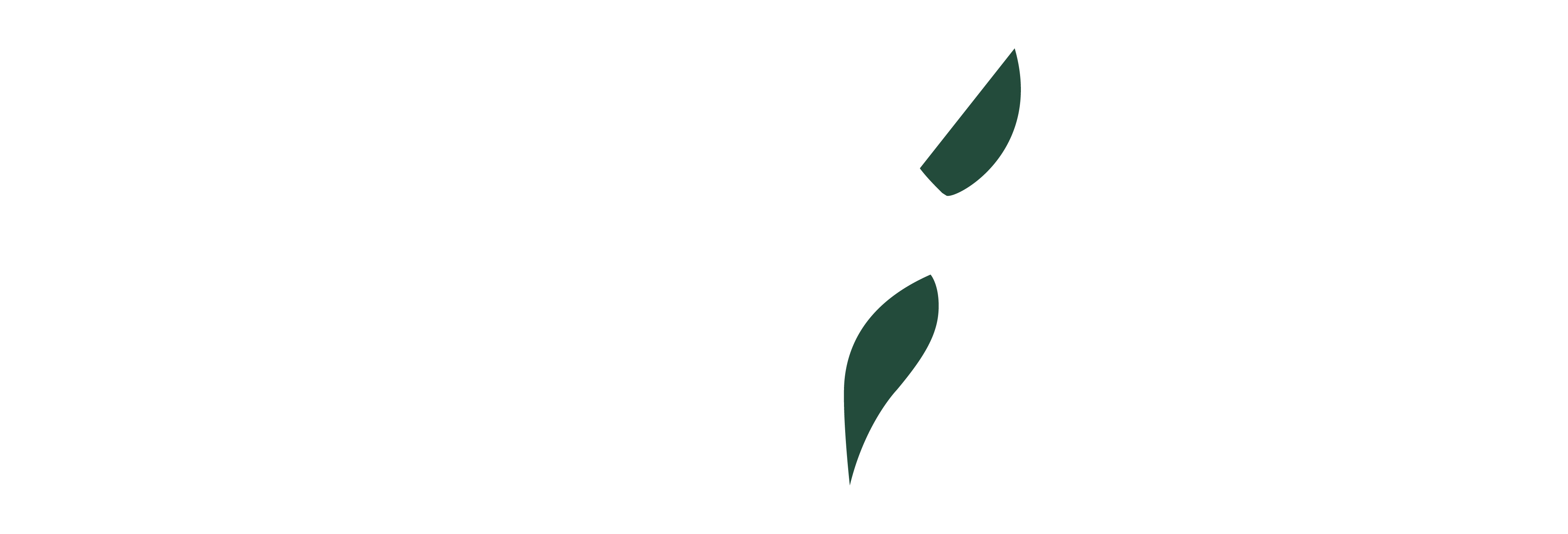 Aarde Skin