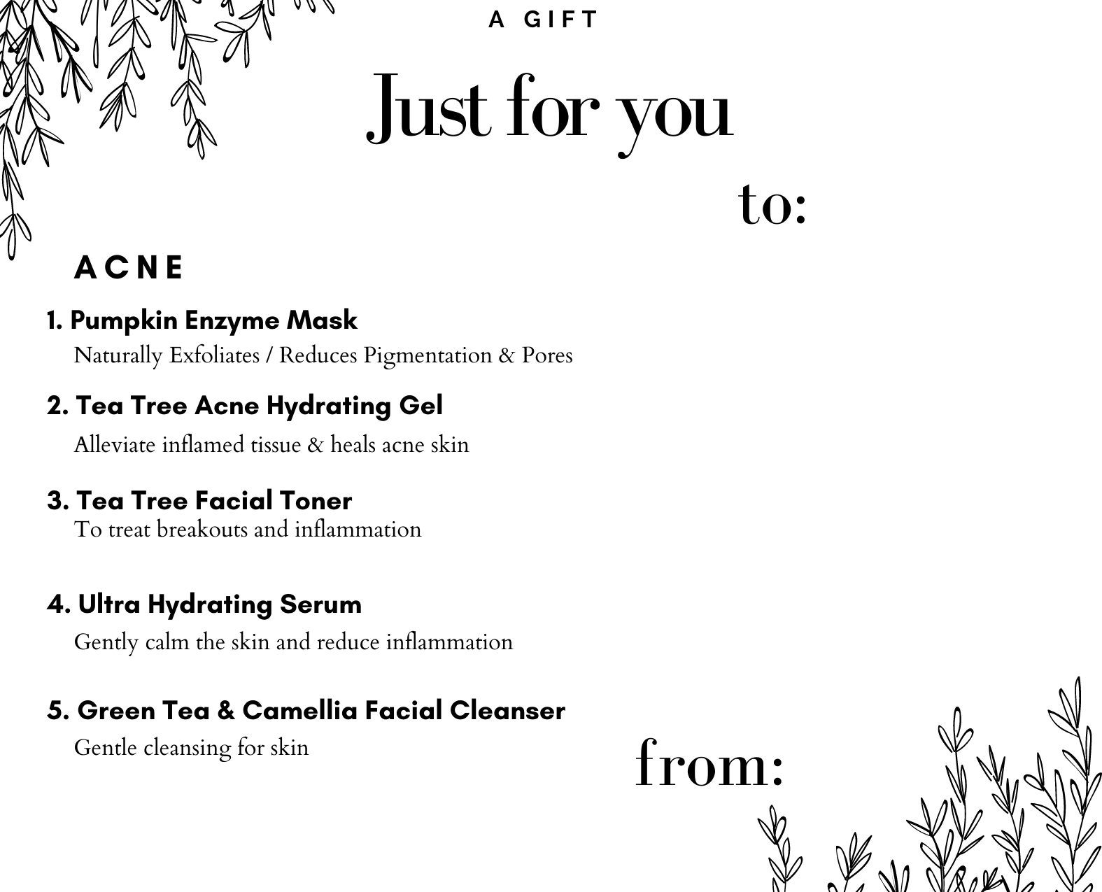 Aardeskin Trial set 2 for Acne Skin